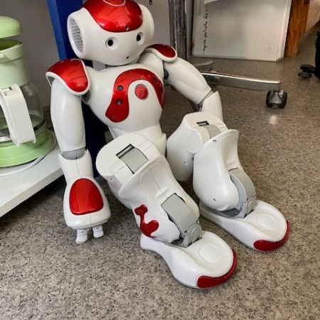 Robot NAO