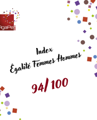 Index égalité femmes-hommes