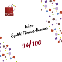 Index égalité femmes-hommes