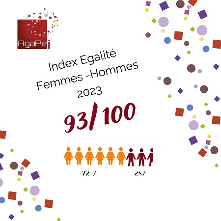 Index égalité Femmes/ Hommes